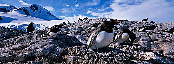 三位一体5怎么联机？三位一体5发条阴谋怎么开启本地双人联机？